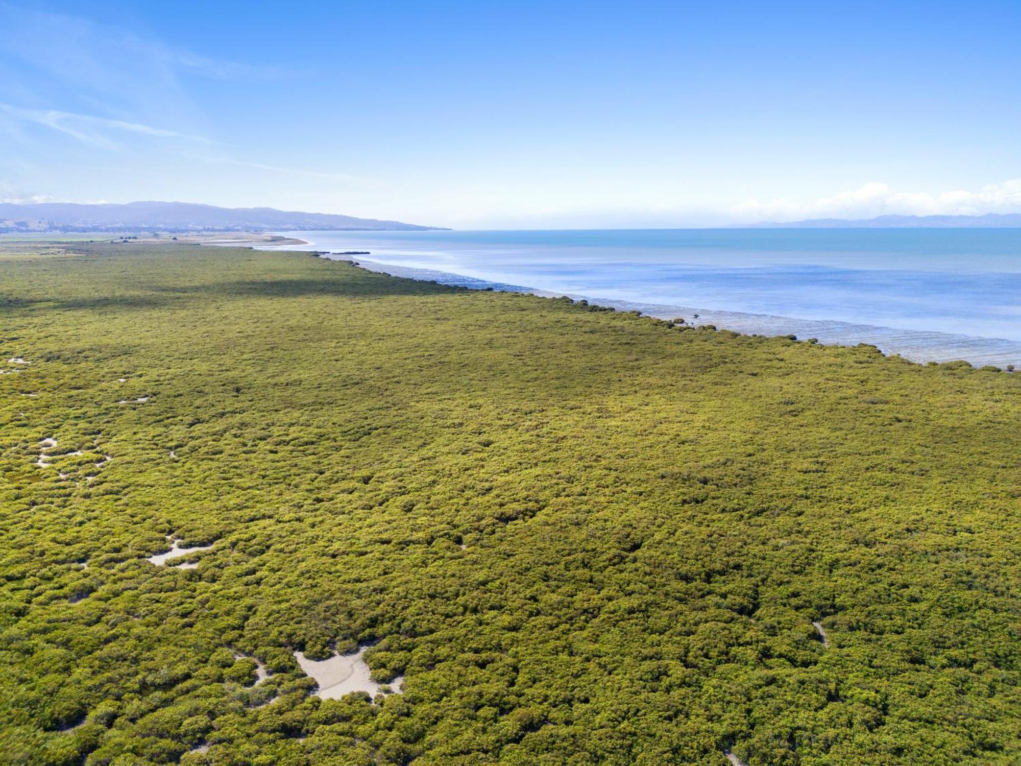 Tasman Holiday Parks - มิแรนดา ภายนอก รูปภาพ